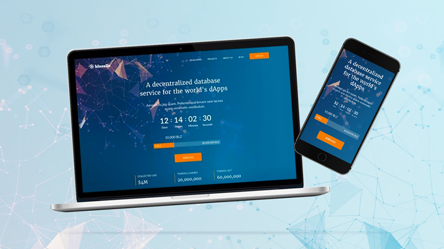Evan Holmgren Case Studies Vancouver's Strategic Digital Marketer and Web Designer Blockchain Website Integration for Bluzelle