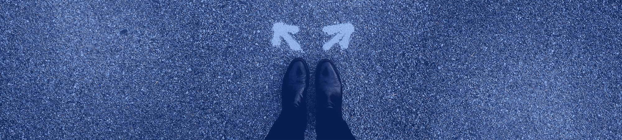 What Is More Important: Qualified Website Traffic or a Conversion-Optimized Website?