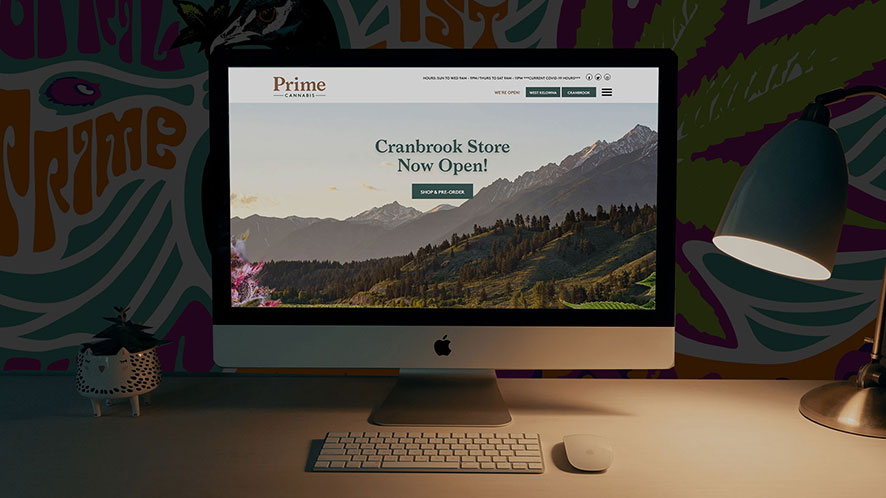 Evan Holmgren Case Studies Vancouver's Strategic Digital Marketer and Web Designer WordPress Cannabis Website