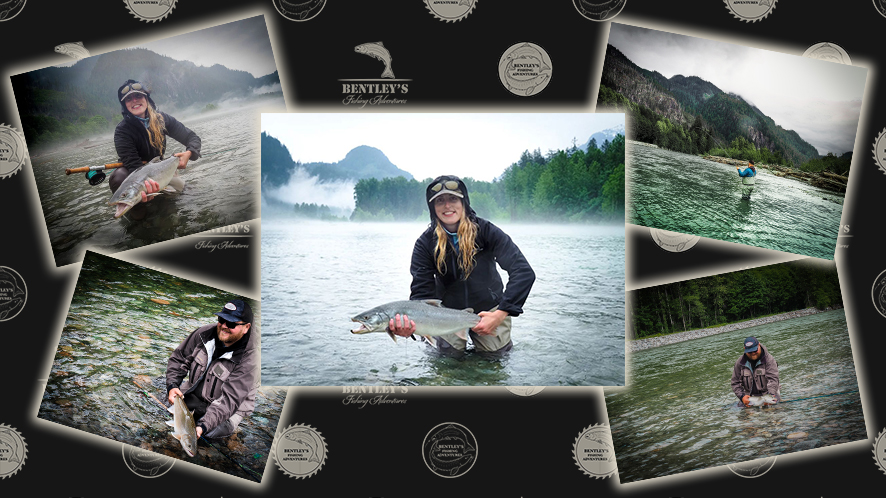 Images from our Strong WordPress Small Business Website