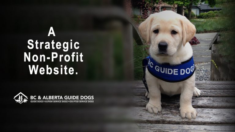 A Strategic Non-Profit Website