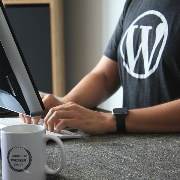 Shopify eCommerce and WordPress WooCommerce Experts.