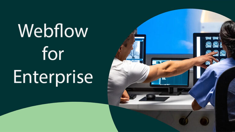 A Webflow website for Enterprise Businesses